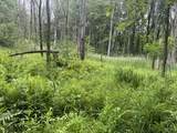  Elmwood Road - Photo 4