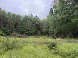 W1561 Hawks Nest Trail - Photo 6