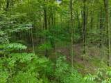  Island Lake Lane - Photo 7