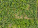  Island Lake Lane - Photo 10
