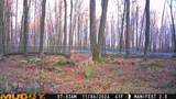  Springbrook Road - Photo 15