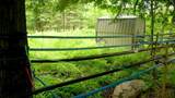  Springbrook Road - Photo 28