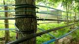  Springbrook Road - Photo 30