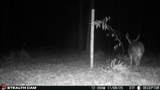  Springbrook Road - Photo 5