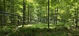  Springbrook Road - Photo 41