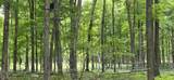  Springbrook Road - Photo 44