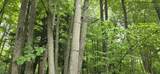  Springbrook Road - Photo 56
