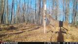  Springbrook Road - Photo 10