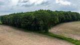  Pleasant View Road - Photo 14