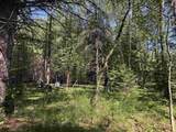  Peterson Road - Photo 11