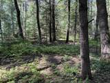 Peterson Road - Photo 12