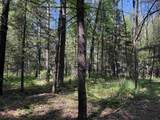  Peterson Road - Photo 13