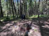  Peterson Road - Photo 7