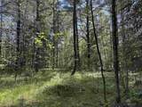 Peterson Road - Photo 10