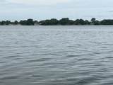 1196 Pages Point Drive - Photo 3