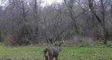 60357 Rush Creek Road - Photo 7