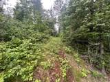W8801 Moonshine Hill Road - Photo 37