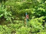 W8801 Moonshine Hill Road - Photo 39