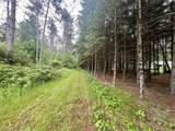 W8801 Moonshine Hill Road - Photo 7