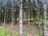 W8801 Moonshine Hill Road - Photo 10