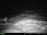  Hwy 45 - Photo 24