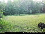  Hwy 45 - Photo 28