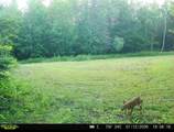  Hwy 45 - Photo 29