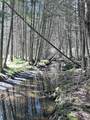  Chapman Road - Photo 11