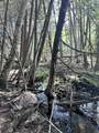  Chapman Road - Photo 10