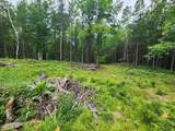 N11866 Menominee Shores Drive - Photo 4