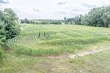  Lyons Road - Photo 13