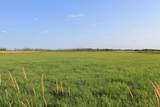  Cty Rd Jj - Photo 15