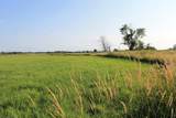  Cty Rd Jj - Photo 16