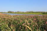  Cty Rd Jj - Photo 25
