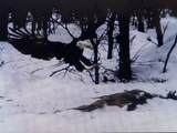 W5923 State Hwy 180 - Photo 23