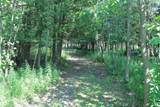  Wolf River Drive - Photo 11