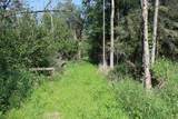  Wolf River Drive - Photo 12
