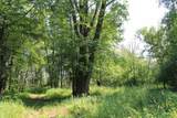 Wolf River Drive - Photo 14
