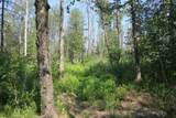  Wolf River Drive - Photo 18