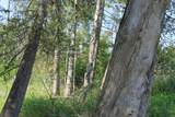  Wolf River Drive - Photo 19