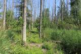  Wolf River Drive - Photo 20