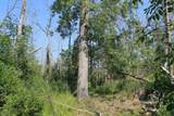  Wolf River Drive - Photo 21