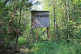  Wolf River Drive - Photo 24