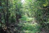  Wolf River Drive - Photo 25