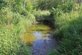  Wolf River Drive - Photo 28