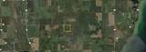  Wolf River Drive - Photo 35