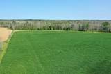  Wolf River Drive - Photo 8