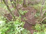  Ruth Road - Photo 12