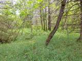  Ruth Road - Photo 13