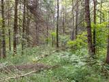  Ruth Road - Photo 14